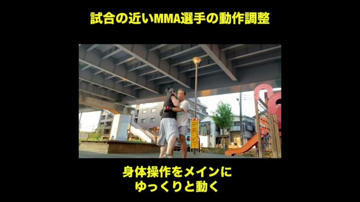 武道空手MMA応用／腹の締めと組技／ナイハンチの連動と突き蹴り