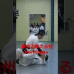「合氣道を武術にする！」森道治師範八段 豪州流合氣柔術 [Martial arts Aikido] Mori Shihan 8thDan Goshu-Ryu Aiki Jujutsu AUS