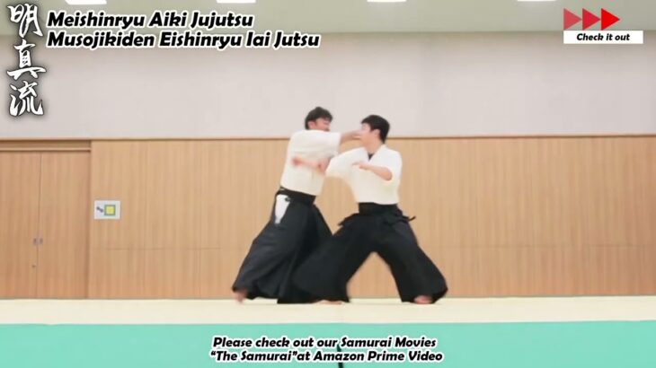 Meishinryu Aikido techniques 明真流　合気道の稽古 #aikido #合気道 #天照会 2024 0721 01