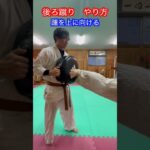 【武道・格闘技】後ろ蹴り　蹴り方！！　#aikido ＃karate #martial #合気道 #武道 #空手＃喧嘩独学