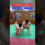 【武道・武術】古流柔術の危険な技！！　#aikido ＃karate #martial #合気道 #武道 #空手＃喧嘩独学