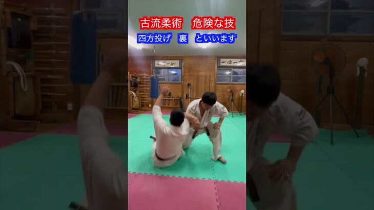 【武道・武術】古流柔術の危険な技！！　#aikido ＃karate #martial #合気道 #武道 #空手＃喧嘩独学