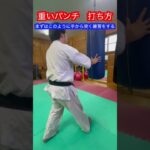 【武道・格闘技】重いパンチ　打ち方！！　#aikido ＃karate #martial #合気道 #武道 #空手＃喧嘩独学