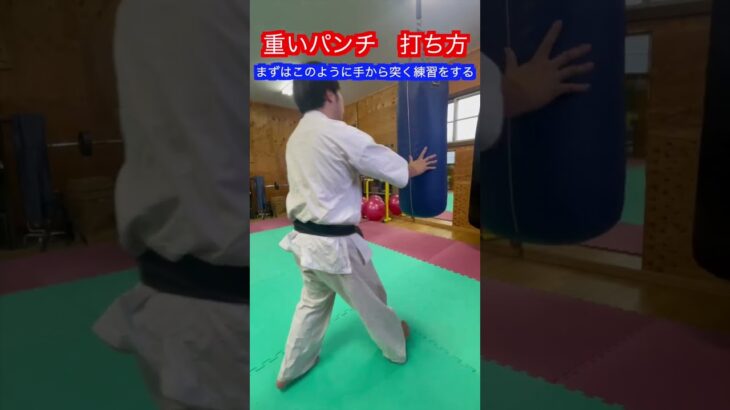 【武道・格闘技】重いパンチ　打ち方！！　#aikido ＃karate #martial #合気道 #武道 #空手＃喧嘩独学