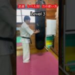 【武道・武術】レベル別　力の入れ方　違い！！　#aikido ＃karate #martial #合気道 #武道 #空手＃喧嘩独学