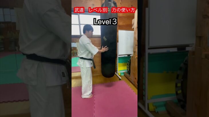 【武道・武術】レベル別　力の入れ方　違い！！　#aikido ＃karate #martial #合気道 #武道 #空手＃喧嘩独学