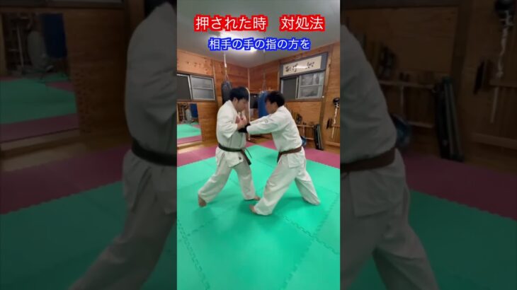 【合気道】胸ぐらを押された時の対処方法！！　#aikido ＃karate #martial #合気道 #武道 #空手