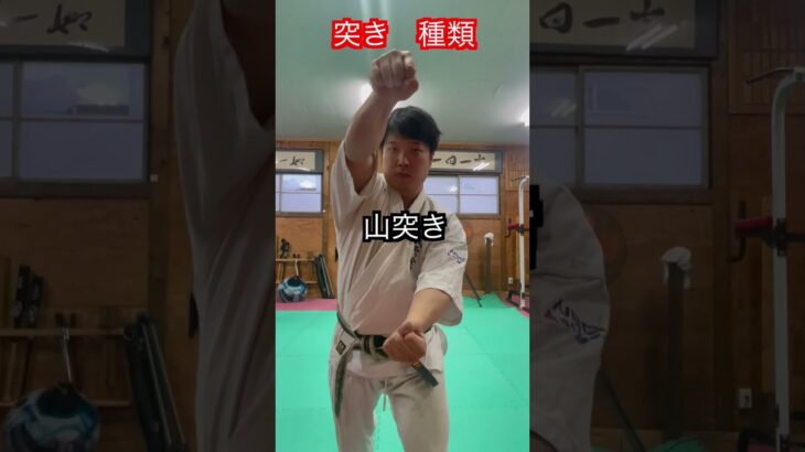 【空手・格闘技】突き　パンチの種類！！　#aikido ＃karate #martial #合気道 #武道 #空手