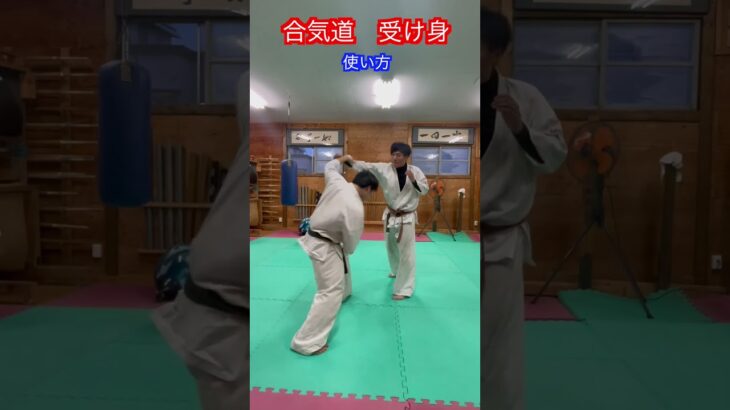 【合気道】実戦的な受け身　方法！！　#aikido ＃karate #martial #合気道 #武道 #空手＃筋トレ＃腕立て＃push-up