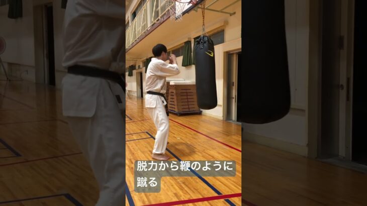 琉球空手　回し蹴り #karate #琉球空手 #martialarts #琉球古武道 #空手