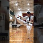 #琉球空手 #karate #空手 #琉球古武道 #martialarts