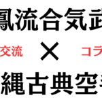 【コラボ】白鳳流合気武道×沖縄古典空手 技術交流#martialarts #古武術