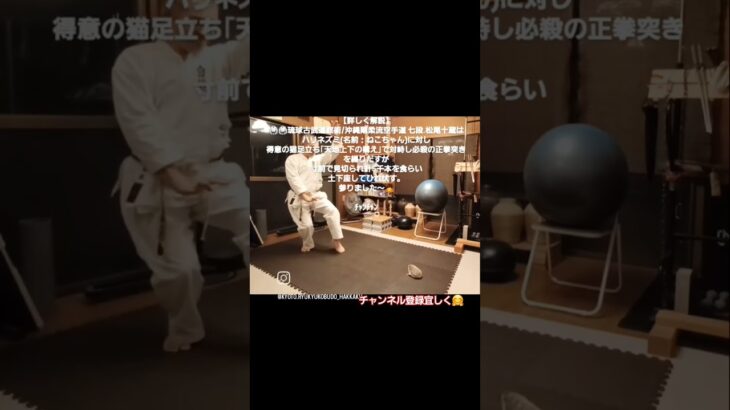 【詳しく解説】🥋琉球古武道釵術/沖縄剛柔流空手道 七段 松尾十蔵はハリネズミ(名前：ねこちゃん)