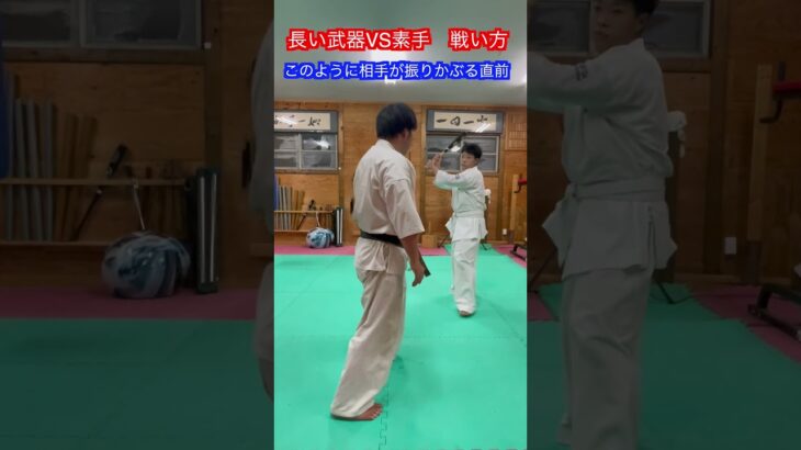 【武術・武道】素手VSバット・日本刀などの長道具　考え方とは！？　#aikido ＃karate #martial #合気道 #武道 #空手