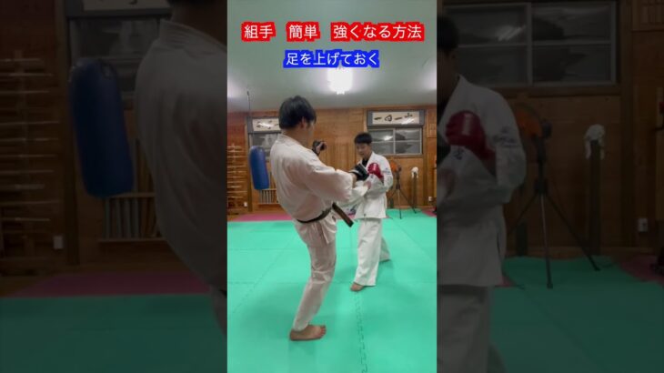 【武道・格闘技】簡単に少し強くなる方法！！　#aikido ＃karate #martial #合気道 #武道 #空手＃喧嘩独学