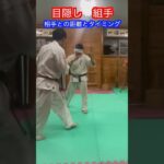 【武術・武道】目隠しをした状態で戦うことはできるのか！？　#aikido ＃karate #martial #合気道 #武道 #空手