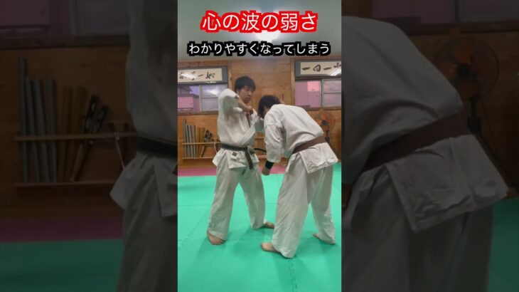 【武道・武術】戦う時に持ってはいけない心とは！？　#aikido ＃karate #martial #合気道 #武道 #空手