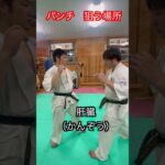 【武道・武術】突き・パンチで狙うべき場所とは！！　#aikido ＃karate #martial #合気道 #武道 #空手