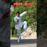 【武道・武術】中国武術・中国拳法は弱いのか！？　#aikido ＃karate #martial #合気道 #武道 #空手＃筋トレ#selfdefense