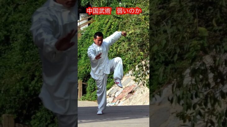 【武道・武術】中国武術・中国拳法は弱いのか！？　#aikido ＃karate #martial #合気道 #武道 #空手＃筋トレ#selfdefense