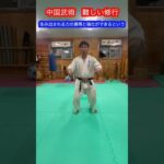 【武道・武術】中国拳法・中国武術にある練習自体が難しいトレーニング方法！？　#aikido ＃karate #martial #合気道 #武道 #空手＃筋トレ#selfdefense