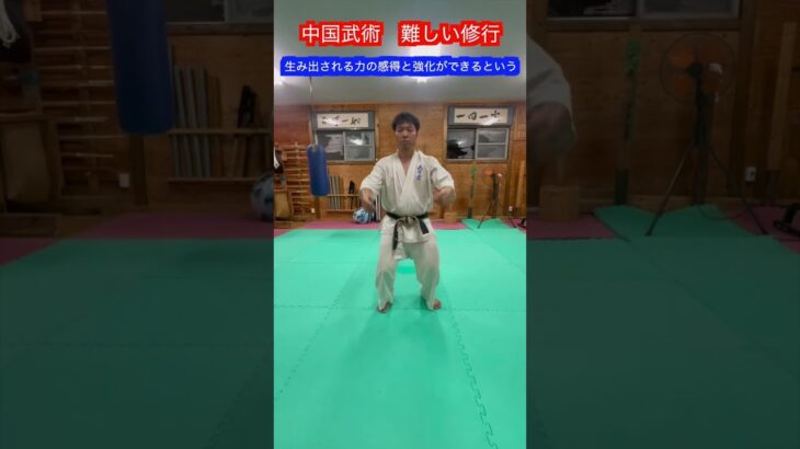 【武道・武術】中国拳法・中国武術にある練習自体が難しいトレーニング方法！？　#aikido ＃karate #martial #合気道 #武道 #空手＃筋トレ#selfdefense