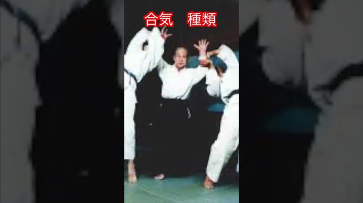 【合気道】合気っていろんなこと言う人いるけど何が本当の合気なの！？　#aikido ＃karate #martial #合気道 #武道 #空手＃筋トレ#selfdefense