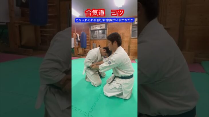 【合気道】コツが分かれば技が断然かけやすくなる！！　#aikido ＃karate #martial #合気道 #武道 #空手＃筋トレ#selfdefense