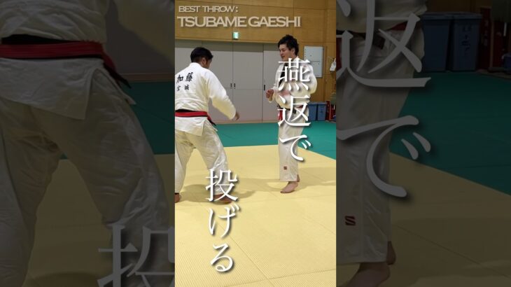 激しい柔道乱取！技の攻防の中で技術が光った最高の一本！燕返が炸裂！#judo #ショート #shorts