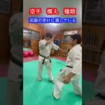 【空手】意外とある構えの種類と戦い方！！ #武道 #空手 #karate #combatsport