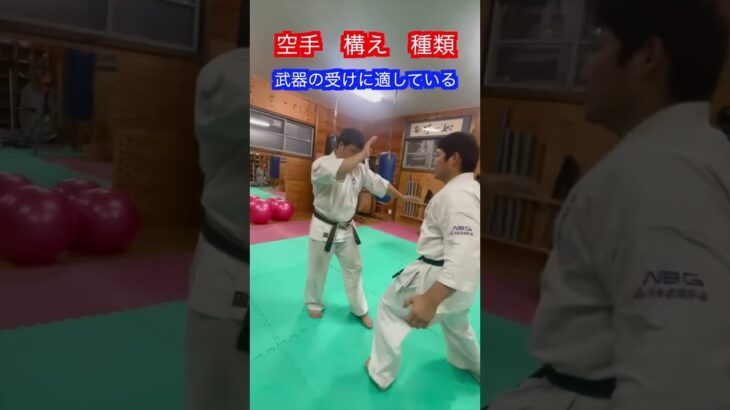 【空手】意外とある構えの種類と戦い方！！ #武道 #空手 #karate #combatsport