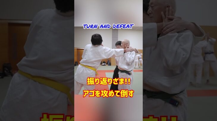 【背後からの攻撃】振り向く動きで倒す！　#martialarts #大東流合気柔術 #扶桑会 #合気道 #護身術 #aikido  #daitoryu #karate