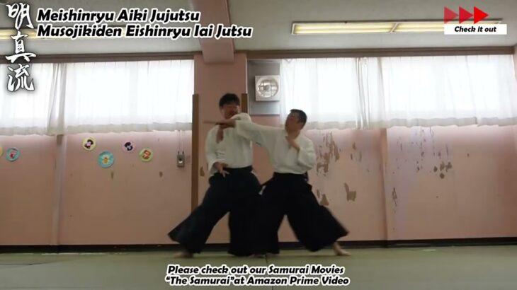 Meishinryu Aikido techniques 明真流　合気道の稽古 #aikido #合気道 #天照会 2024 0920 03