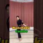 🐲Nunchaku Combo🐉| #kobudo #ryukyukobudo #ヌンチャク#琉球古武道