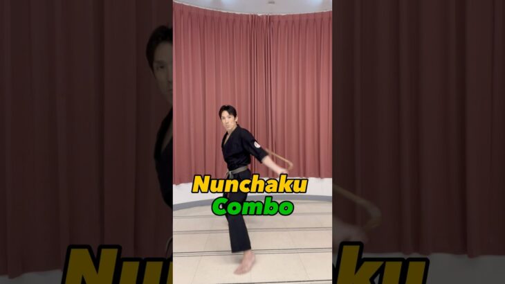 🐲Nunchaku Combo🐉| #kobudo #ryukyukobudo #ヌンチャク#琉球古武道