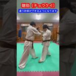 【武道・武術】中国武術によるある聴勁とは！？　#aikido ＃karate #martial #合気道 #武道 #空手＃筋トレ#selfdefense