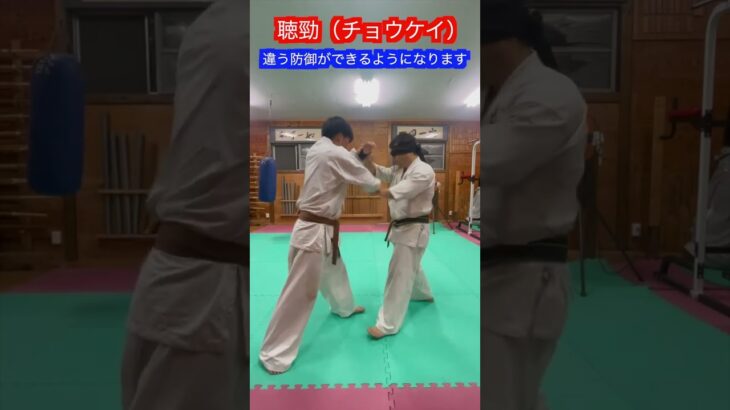 【武道・武術】中国武術によるある聴勁とは！？　#aikido ＃karate #martial #合気道 #武道 #空手＃筋トレ#selfdefense