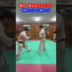 【武術・格闘技】かなり使えるフェイント集　解説！！　#aikido ＃karate #martial #合気道 #武道 #空手＃筋トレ#selfdefense