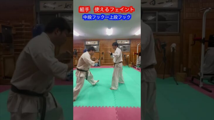 【武術・格闘技】かなり使えるフェイント集　解説！！　#aikido ＃karate #martial #合気道 #武道 #空手＃筋トレ#selfdefense