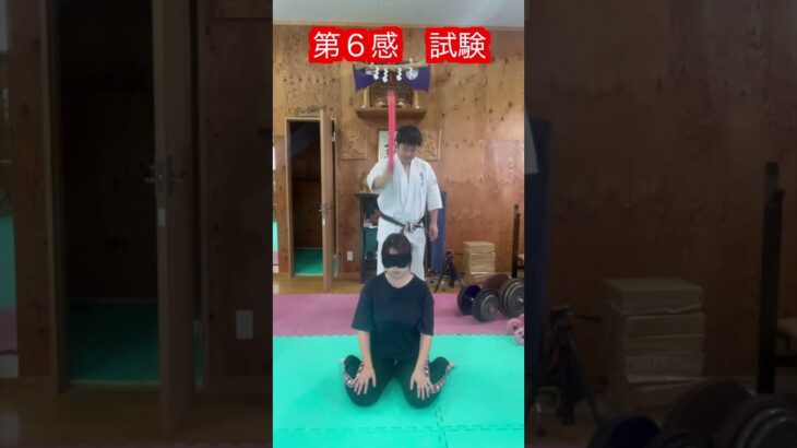 【武道・武術】神武館の５段審査にもある第６感のテスト　解説！！　#aikido ＃karate #martial #合気道 #武道 #空手＃筋トレ#selfdefense