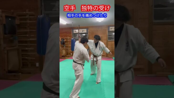 【武道・武術】空手にある独特の受け　３選！！　#aikido ＃karate #martial #合気道 #武道 #空手＃筋トレ#selfdefense