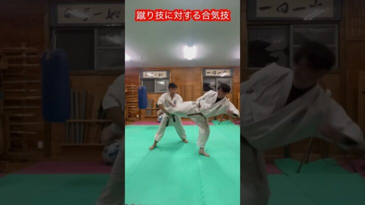 【合気道】蹴りに対する合気技　解説！！　#aikido ＃karate #martial #合気道 #武道 #空手＃筋トレ#selfdefense