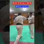 【武道・武術】反応できる突きと反応できない突きの違い　解説！！　#aikido ＃karate #martial #合気道 #武道 #空手＃筋トレ#selfdefense