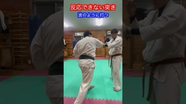 【武道・武術】反応できる突きと反応できない突きの違い　解説！！　#aikido ＃karate #martial #合気道 #武道 #空手＃筋トレ#selfdefense