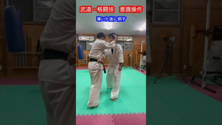 【武道・格闘技】相手の意識操作の方法！！　#aikido ＃karate #martial #合気道 #武道 #空手＃筋トレ#selfdefense