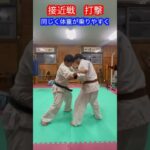 【武道・格闘技】接近戦で間合いが詰まった時の打撃法　解説！！　#aikido ＃karate #martial #合気道 #武道 #空手＃筋トレ#selfdefense