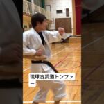 古武道トンファー#琉球空手 #琉球古武術 #martialarts #karate #沖縄空手