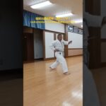 琉球古武道釵術　(型)二丁サイ(釵)　ryukyukobudo saijutsu nicho sai