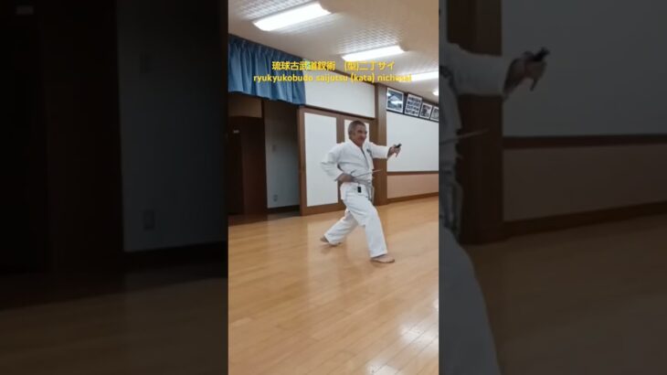 琉球古武道釵術　(型)二丁サイ(釵)　ryukyukobudo saijutsu nicho sai