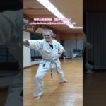 琉球古武道釵術　(型)千原のサイ　ryukyukobudo saijutsu shimbaru no sai